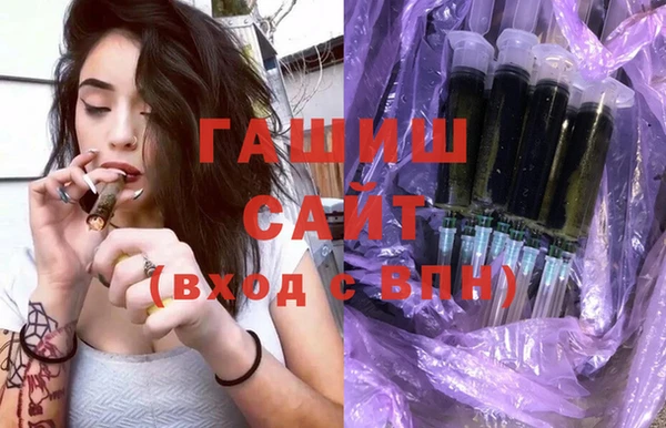 хмурый Бородино