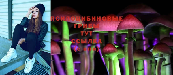 хмурый Бородино