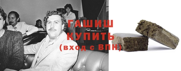 хмурый Бородино