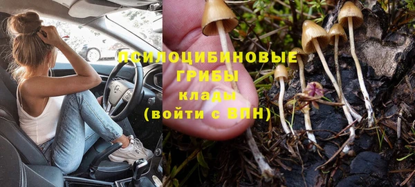 альфа пвп Бугульма