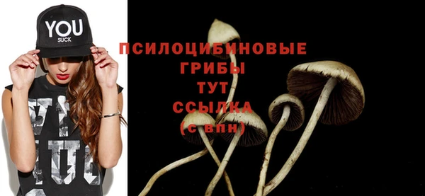mdpv Бронницы