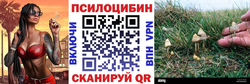 Галлюциногенные грибы Psilocybe  что такое   Воскресенск 